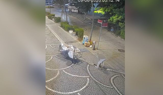 Lüleburgaz'da Mazgal Hırsızlığı Kameraya Yansıdı