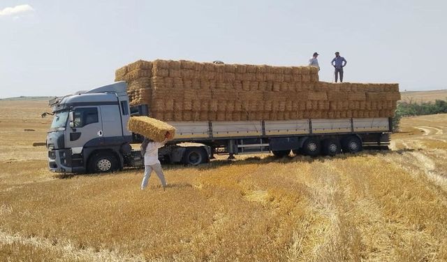 Tekirdağlı Çiftçiden Yangın Bölgesine 1200 Balya Saman