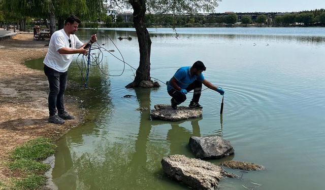 TESKİ’den Çorlu Gölbaşı Parkı’ndaki Alg Oluşumuna Müdahale