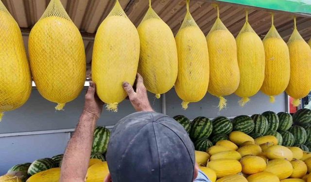 Çorlu Seymen Kavunu Bekledikçe Lezzetleniyor
