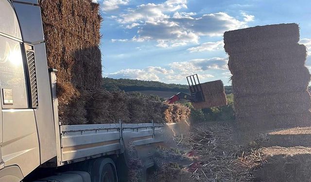 Malkara’da üzerine saman balyası düşen 57 yaşındaki adam hayatını kaybetti