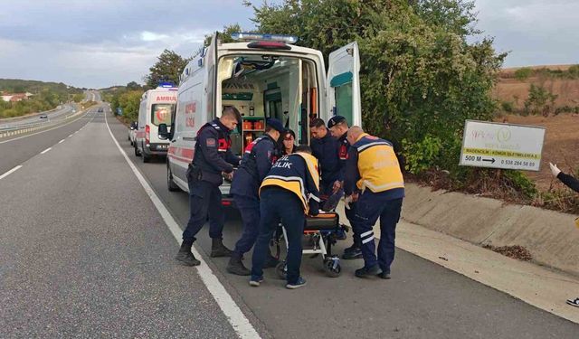 Malkara’da balık yüklü kamyonet menfeze çarptı: 2 yaralı