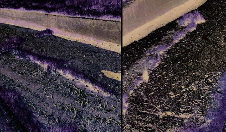 Ergene’de Ulaş Gölü’nde Toplu Balık Ölümleri: İnceleme Başlatıldı