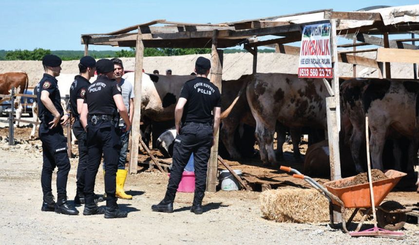 Çerkezköy’de Kurban Alanında Kavga: 5 Yaralı