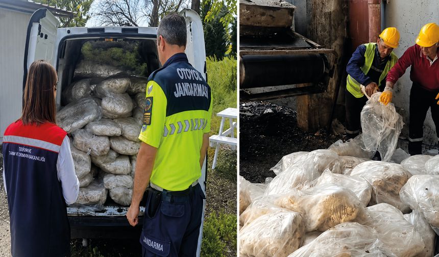 Tekirdağ’da 1,2 Ton Sakatat İmha Edildi