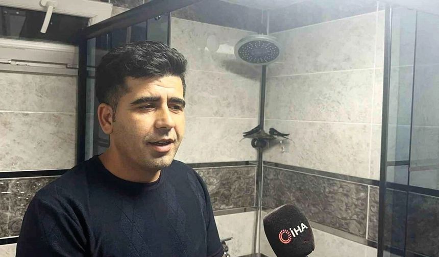 7 Yıldır Aynı Eve Geliyorlar: Kırlangıçlarla Sıra Dışı Dostluk