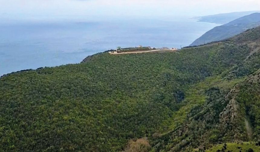 Tekirdağ’da Ormanlara Giriş Yasaklandı! Yasak 12 Haziran’da Başlıyor