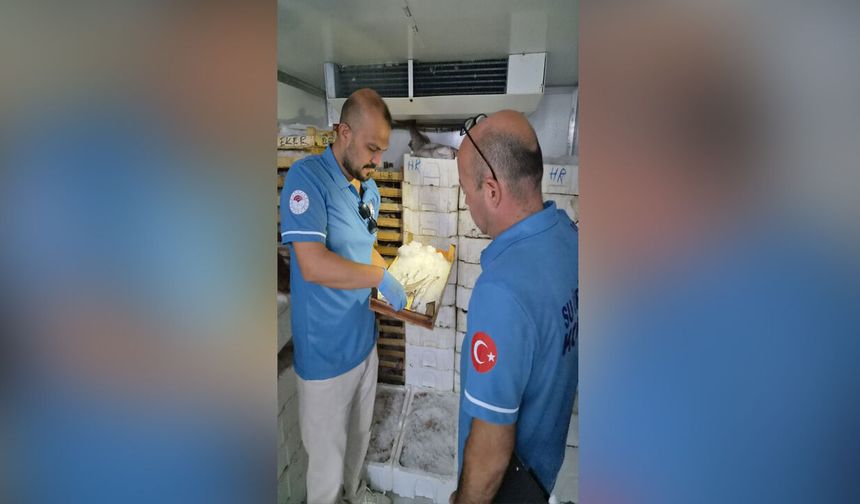 Edirne'de balıkçılıktan sanata, basından belediye çalışmalarına yoğun gündem