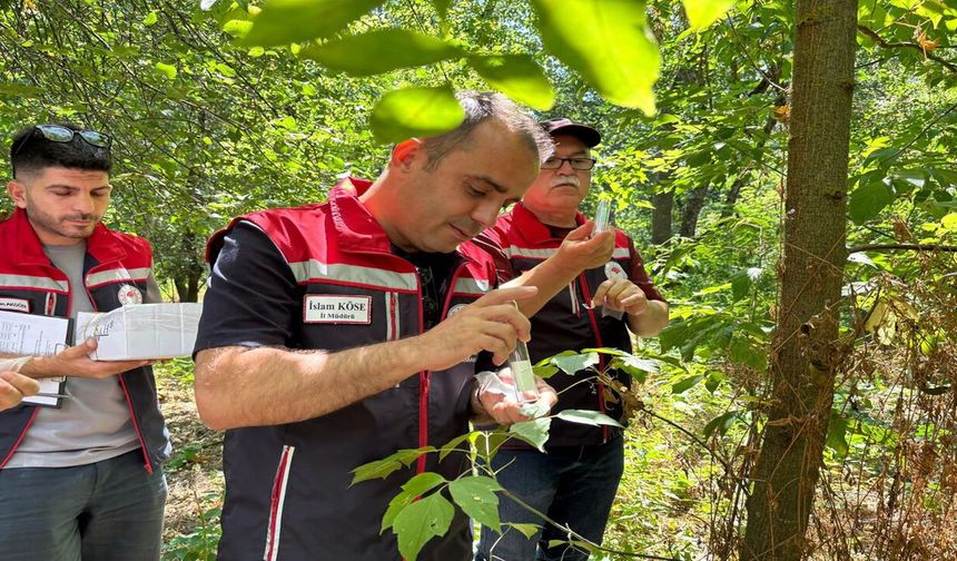 Kahverengi Kokarca'ya Karşı Doğaya 728 Samuray Arıcığı Salındı