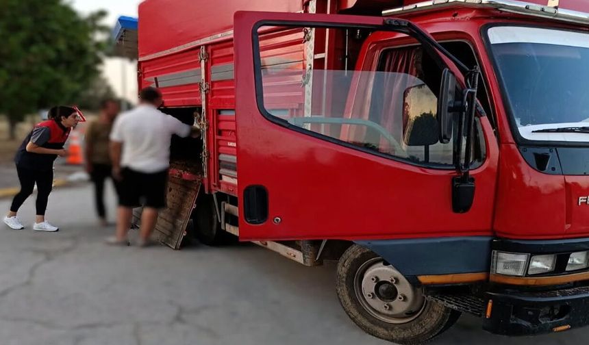 Kaçak hayvan sevkiyatına ağır yaptırım! 175 bin lira ceza kesildi