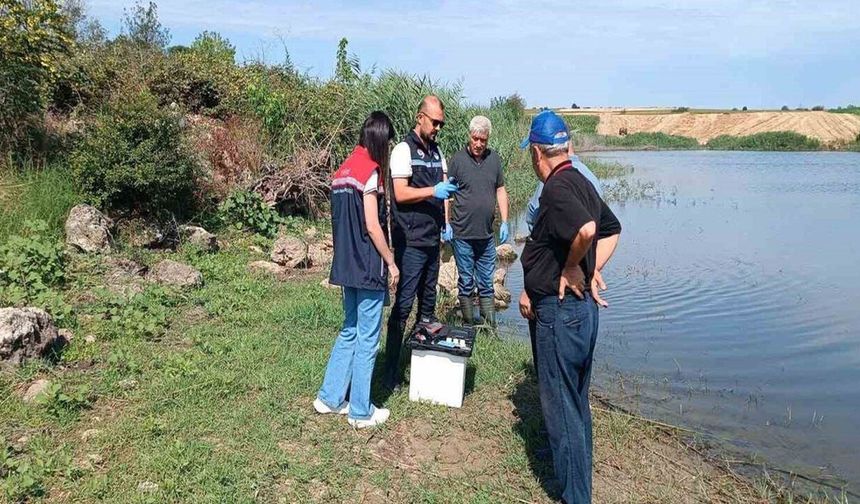 Gölette balık ölümleri paniği! Kesin neden laboratuvar sonuçlarıyla belirlenecek