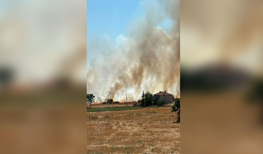 Alevler hasat edilen tarlayı sardı! 50 dekar tarım arazisi küle döndü