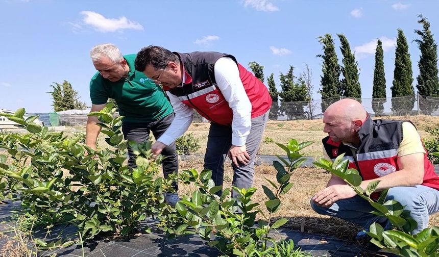 Sürdürülebilir üretime örnek tesis! Sıfır atık ve yağmur suyu hasadı yerinde incelendi