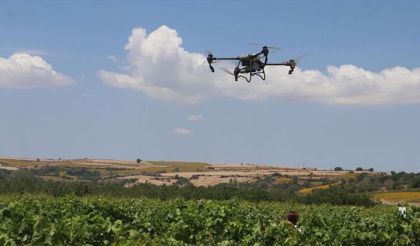 Bağcılıkta yeni dönem! Dronla ilaçlamanın en verimli yöntemi bilimsel olarak belirlenecek