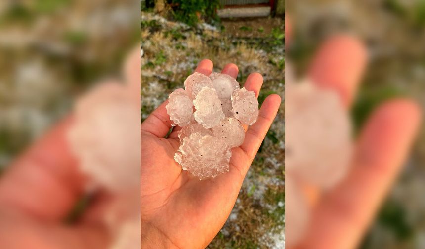 Dolu Felaketi Tarlaları Vurdu: Ayçiçeği ve Karpuzlar Zarar Gördü