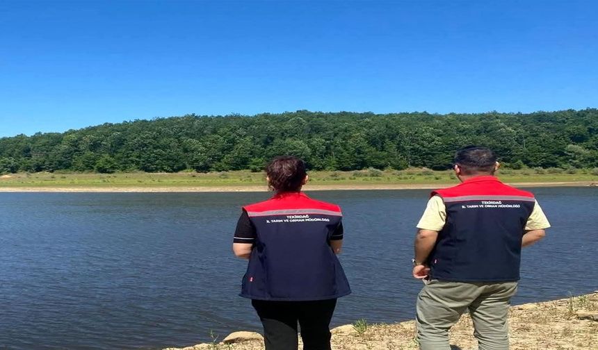 Tekirdağ'da Kaçak Avcılığa Geçit Yok