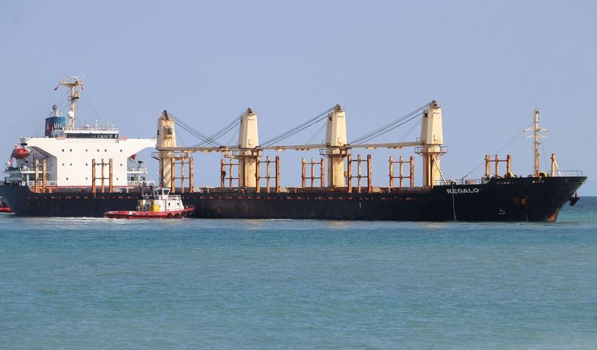 Tekirdağ Açıklarında Yük Gemisi Karaya Oturdu
