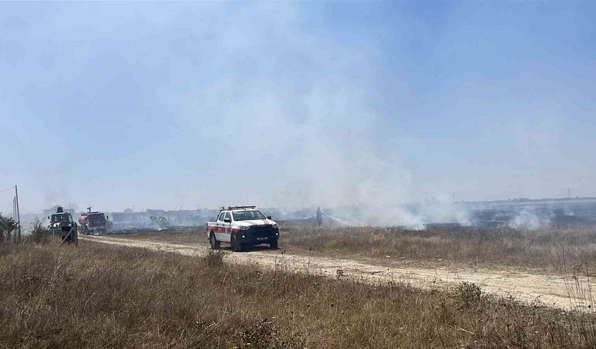Rüzgarla büyüyen yangına vatandaşlar da seferber oldu