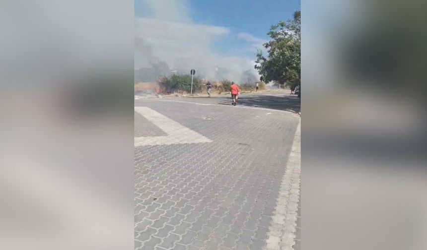Trafo patladı, otluk alan alev aldı: Yangını vatandaşlar söndürdü